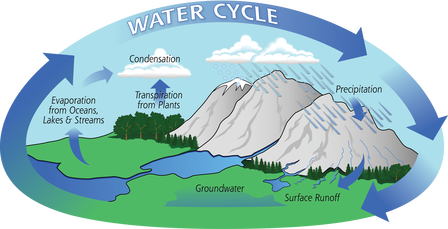 Water Cycle